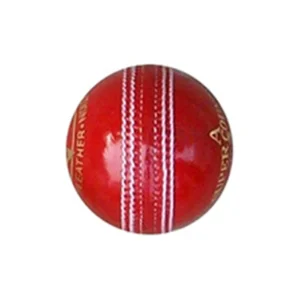 CA Super Test Cricket Ball (4 Pieces)